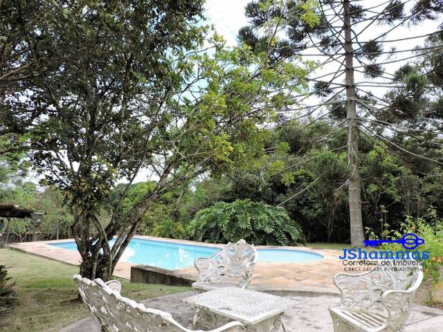 Piscina e jardim